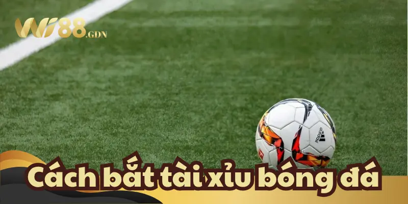 Cách Bắt Tài Xỉu Bóng Đá Hiệu Quả Nhất Hiện Nay 1 Hướng dẫn cho anh em người chơi cách bắt tài xỉu bóng đá cơ bản