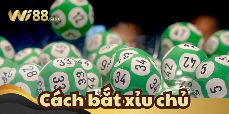 Tìm hiểu về xỉu chủ là gì?