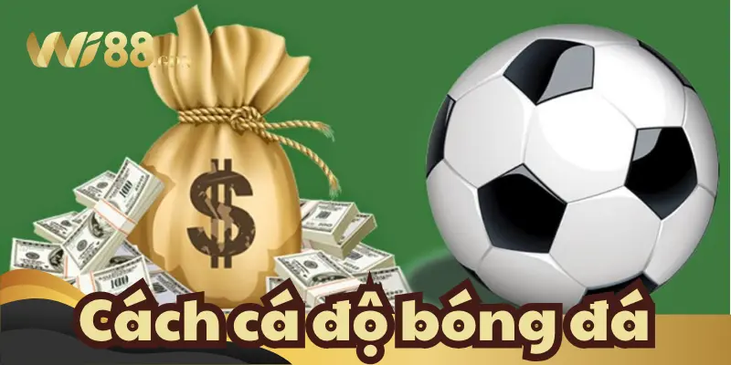 Cách Cá Độ Bóng Đá Từ A Đến Z Cho Newbie 1 Cá độ bóng đá luôn được chuộng