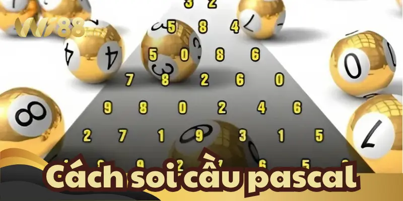 Soi cầu Pascal là gì? Giải thích đơn giản nhất