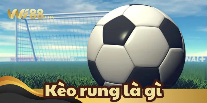 Giải thích thuật ngữ kèo rung là gì trong cá cược