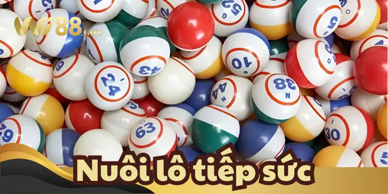 Nuôi lô tiếp sức là gì?