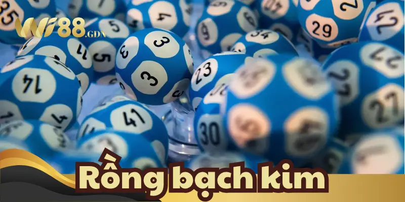 Rồng bạch kim là gì? Giải thích đơn giản nhất